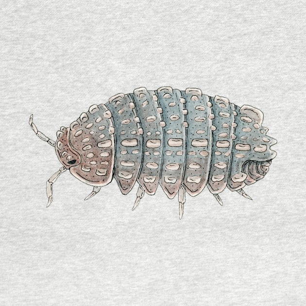 Reductoniscus tuberculatus Isopod by paintedpansy